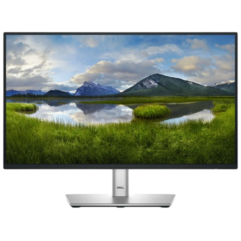 DELL Série P P2225H 21,5 Full HD LCD ComfortView Plus Preto, Prata