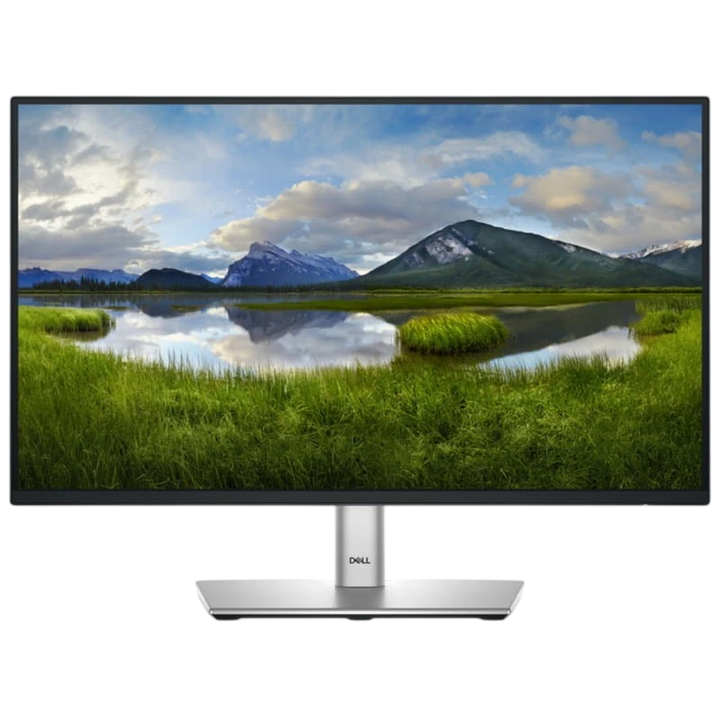 DELL Série P P2225H 21,5 Full HD LCD ComfortView Plus Preto, Prata