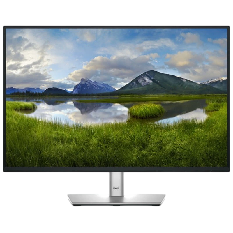 DELL P Series P2425 24.1 WUXGA IPS 100 Hz Preto