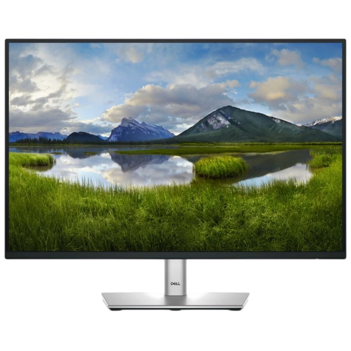 DELL P Series P2425 24.1 WUXGA IPS 100 Hz Preto