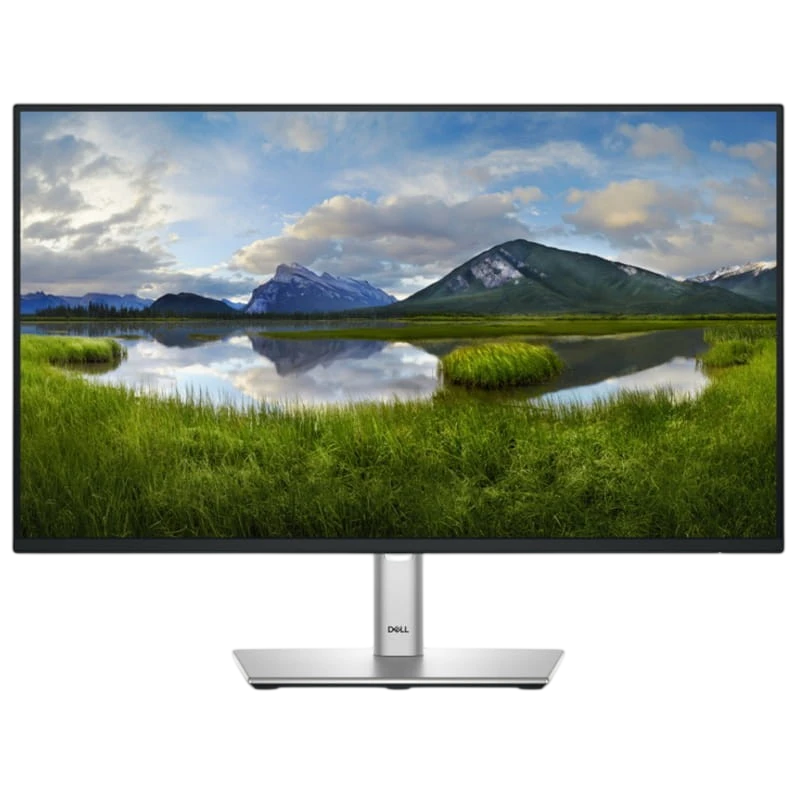 Dell P Series P2425HE 24" FullHD IPS 100Hz Preto