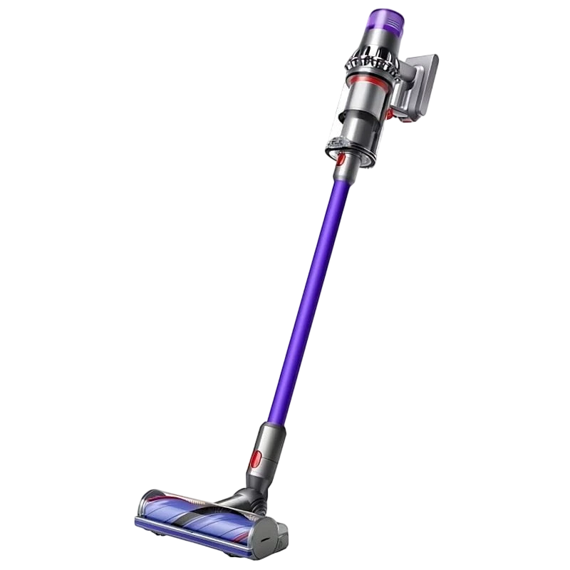 Dyson V11 Advanced Níquel, Roxo