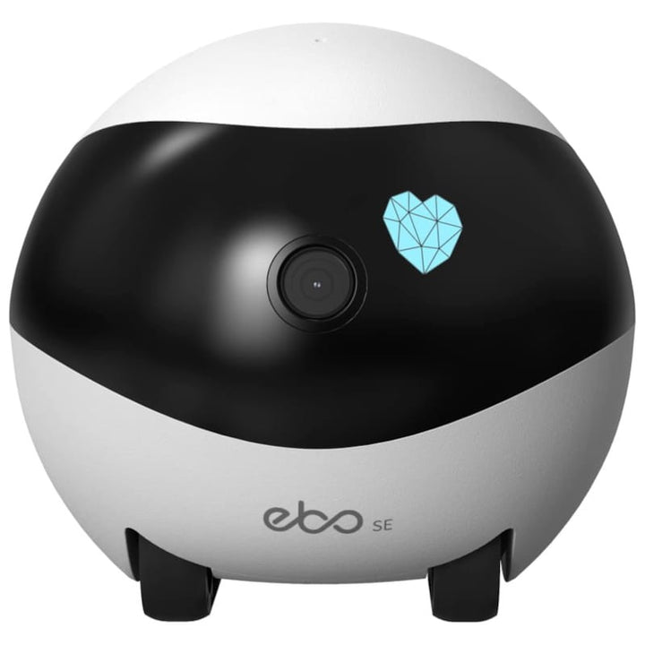 Enabot EBO SE - Robot de companhia